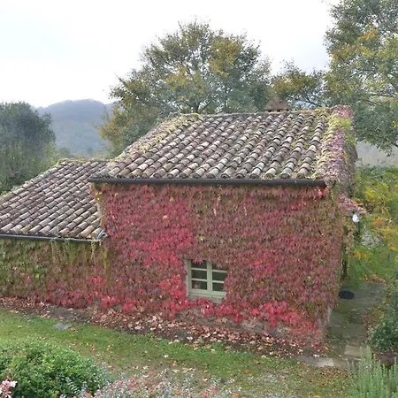 Pereto